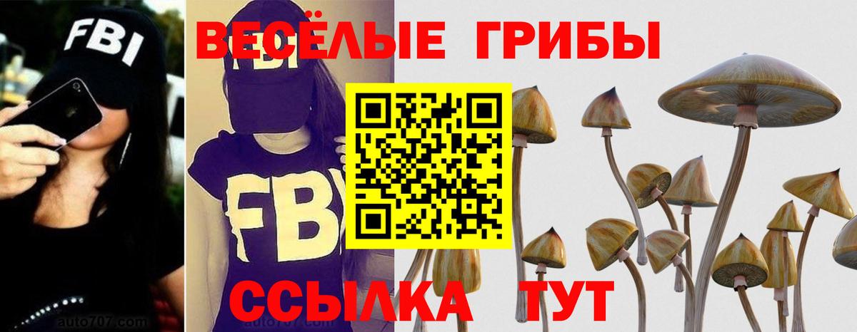 Орёл  Галлюциногенные грибы прущие грибы  Псилоцибиновые грибы ЛСД  Вход с VPN 